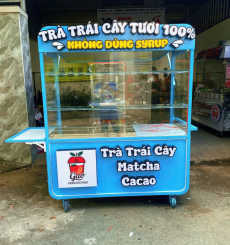 Xe Cá Viên Chiên Mẫu 05
